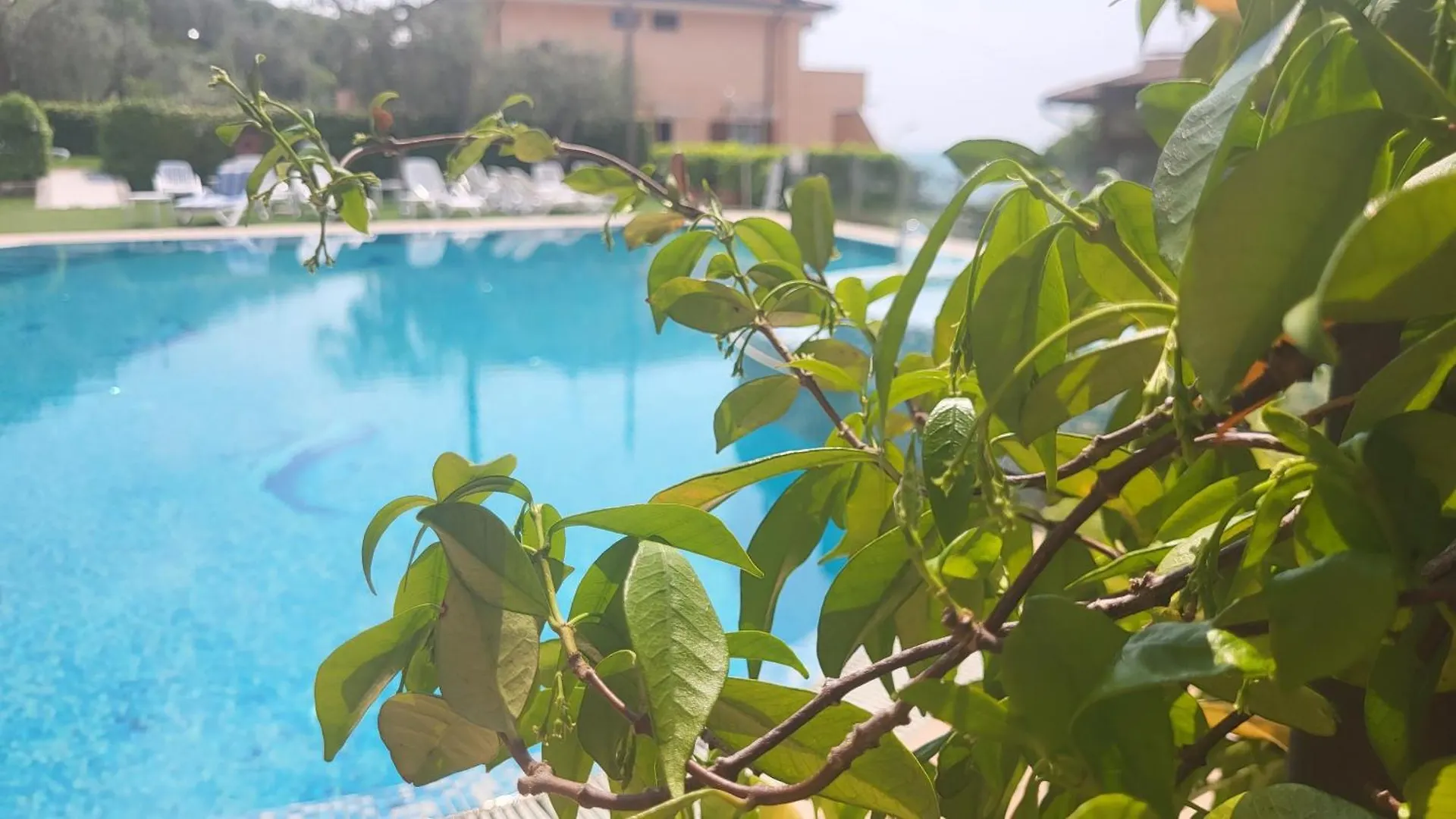 Hotel Garni Rosmari Brenzone sul Garda